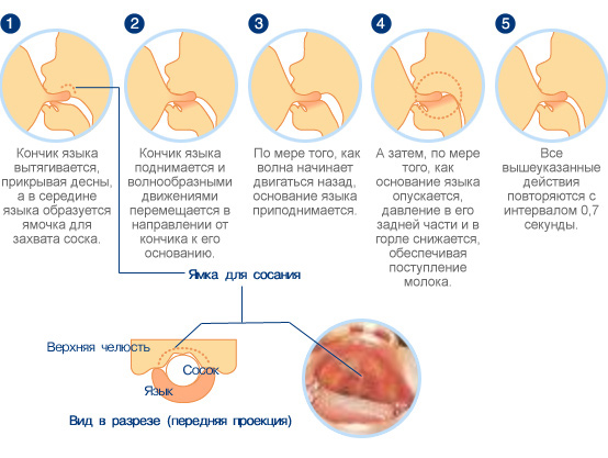 крем для груди кормящей крем для груди кормящей
