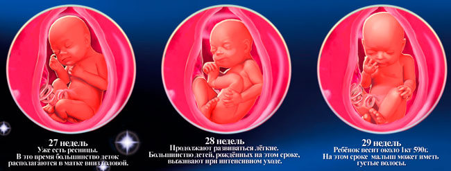 Двухнедельный малыш не спит Двухнедельный малыш не спит