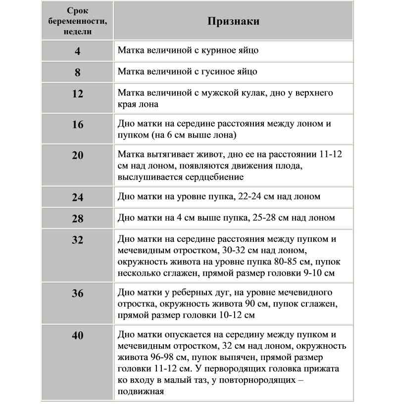 Как правильно измерить окружность живота у беременной 56