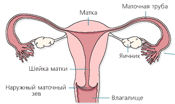 Как лечить двухсторонний оофорит что это такое Как лечить двухсторонний оофорит что это такое