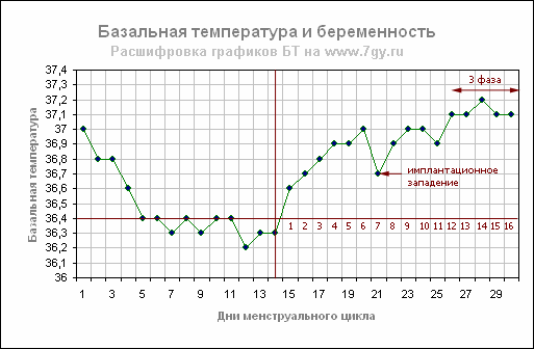 Какой график работы должен быть у беременных 56