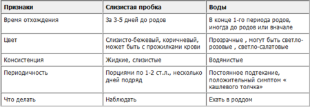 Почему отходят воды при беременности раньше срока Почему отходят воды при беременности раньше срока