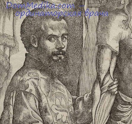 andresas vesalius essay andresas vesalius essay