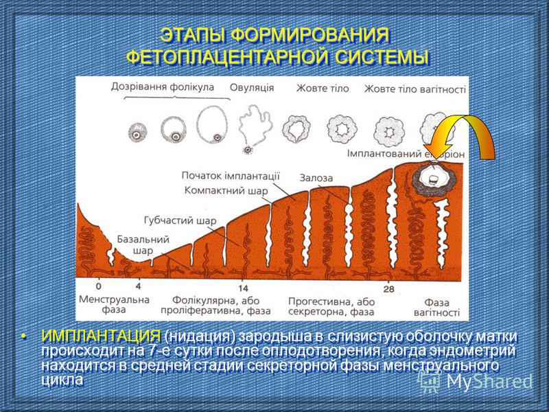 Средний этап