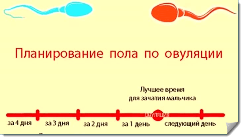 Как правильно зачать фото Зачатие ребенка как правильно - найдено 81 картинок