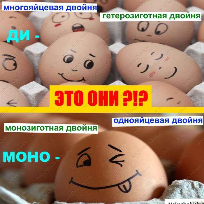 Моно моно двойня