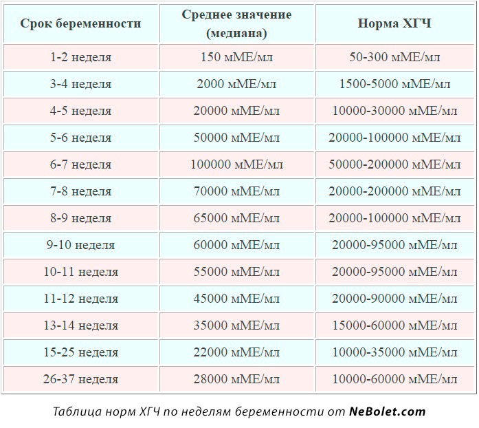 Сколько недель в месяце в среднем 2024