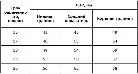 Длина бедренной. Длина бедренной кости плода по неделям беременности таблица. Длина бедренной кости плода норма. Нормы бедренной кости по неделям таблица. Плечевая кость плода по неделям.