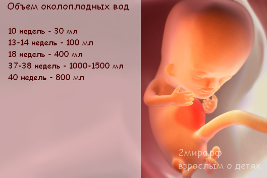 Воды на 27 неделе. Объем околоплодных вод. Размер матки на 16 неделе беременности. 16 Недель размер ребенка. Объем жидкости в околоплодные воды.