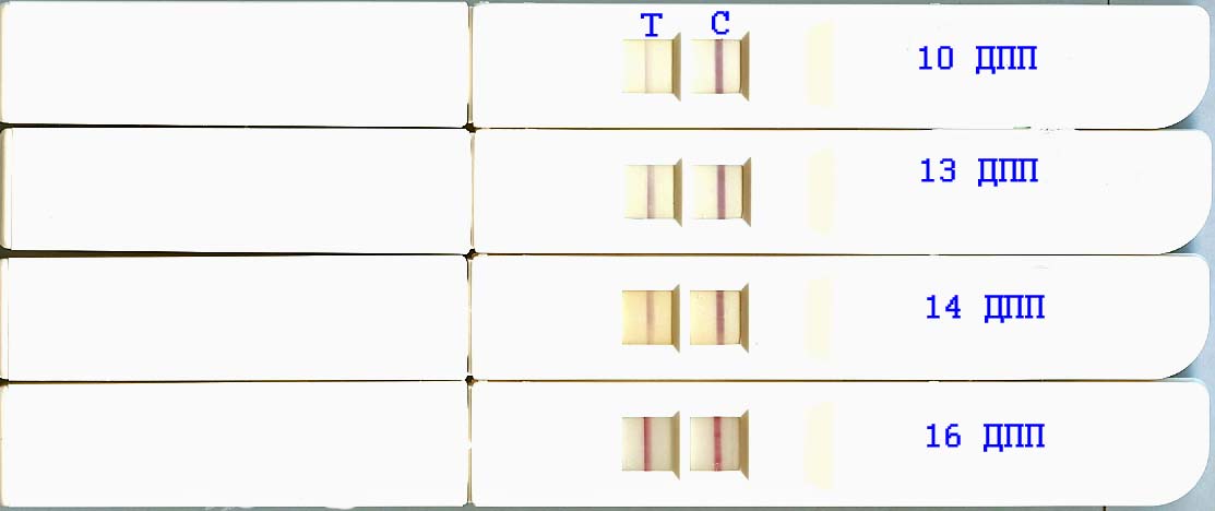 Дпп это. 8 ДПП полоски. Слабый тест на 8дпп.