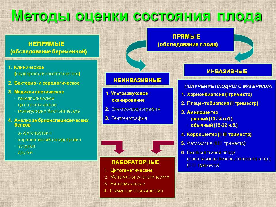 Дополнительные методы исследования внутриутробного состояния плода презентация